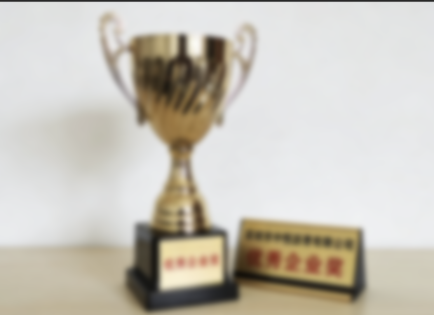 优秀企业奖 - 行业协会颁发奖项